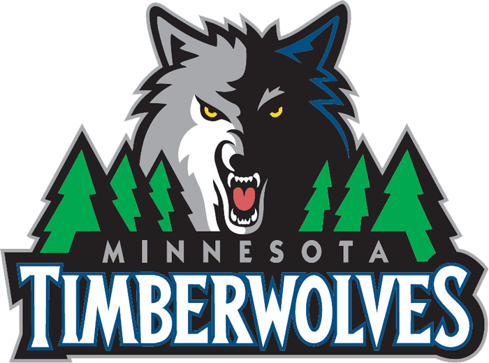 Minnesota Timberwolves 2008-2016 Primary Logo iron on paper